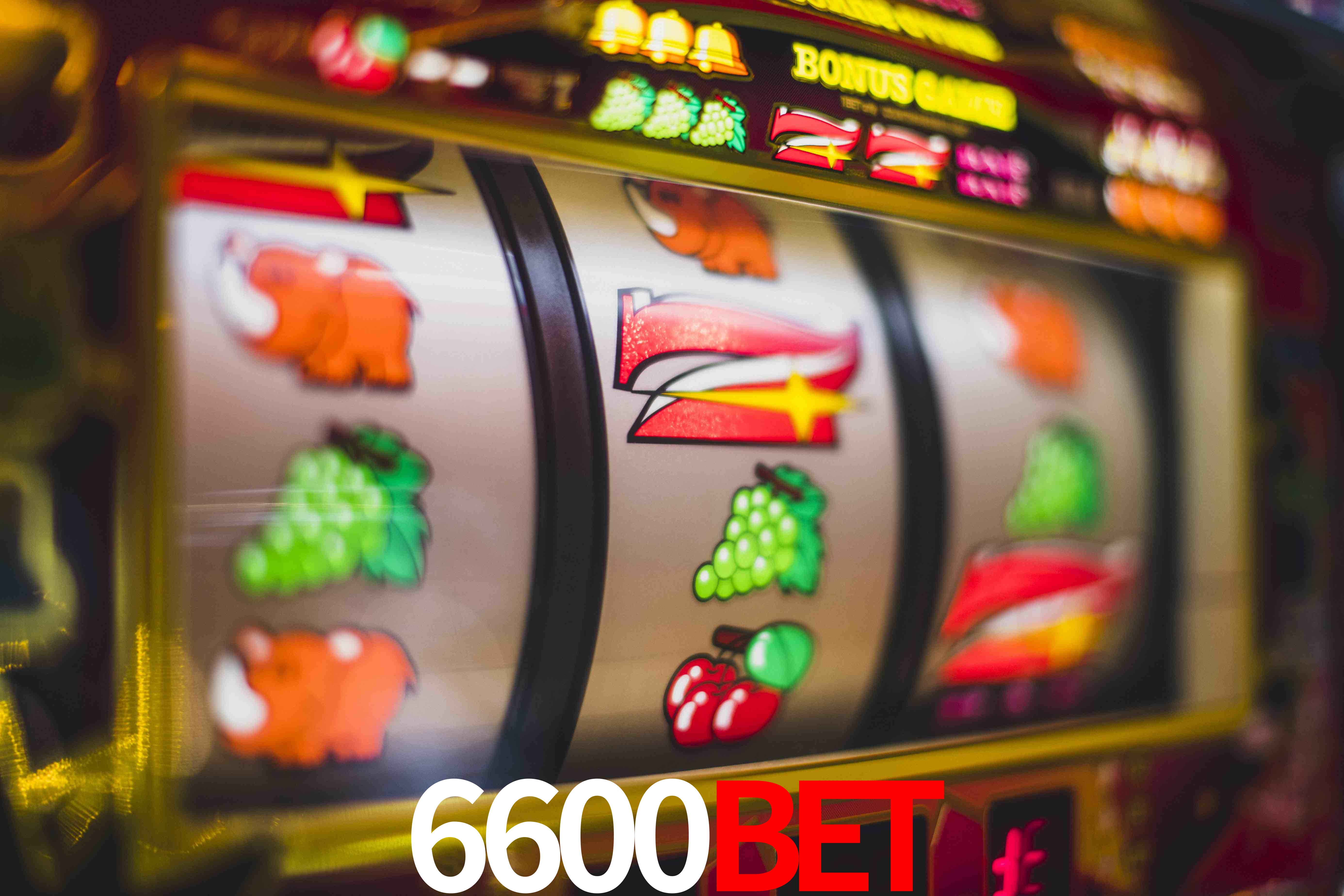 Crash Games Statistics 6600bet